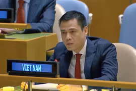 L'ambassadeur Dang Hoang Giang, chef de la Mission permanente du Vietnam auprès de l'ONU. Photo : VNA