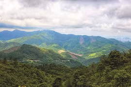 Ky Thuong, une destination attrayante à Quang Ninh