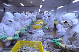 Le Vietnam réalise un excédent commercial en Israël