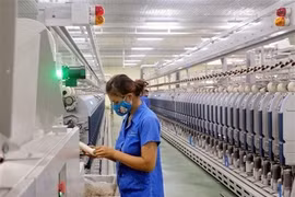Pour "verdir" l'industrie du textile au Vietnam