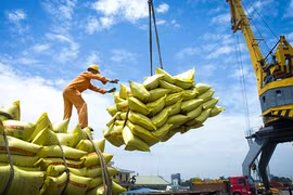 Exportations de riz : le Vietnam établit un nouveau record 