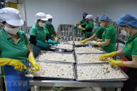 Les exportations de fruits et légumes atteignent près de 2 milliards de dollars en sept mois