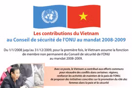 Les contributions vietnamiennes au Conseil de sécurité de l’ONU au mandat 2008-2009