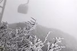 Lao Cai : du givre sur le mont Fansipan au coeur du printemps ​