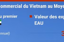 EAU: le plus grand partenaire commercial du Vietnam au Moyen-Orient et en Afrique du Nord 