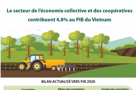 Le secteur de l’économie collective et des coopératives contribuent 4,8% au PIB du Vietnam