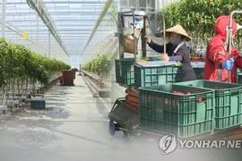 Les travailleurs vietnamiens bénéficient d'une prolongation d'un an de séjour en R.de Corée 