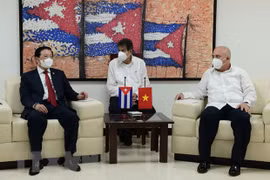 Le Vietnam et Cuba promeuvent les relations entre les deux Partis