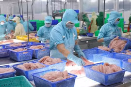 Exportations de 730 millions de dollars de produits aquatiques en janvier 