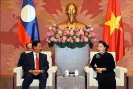 Vietnam et Laos promeuvent leurs liens de coopération