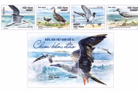 Bientôt une collection de timbres sur les oiseaux de mer du Vietnam