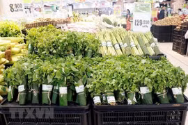 La province de Ninh Binh dit « non » au plastique