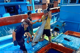 Le Vietnam souhaite un développement durable de la mariculture