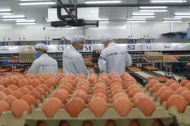 Exportation des produits de l'élevage: encore très modeste