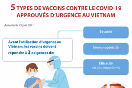 5 types de vaccins contre le COVID-19 approuvés d’urgence au Vietnam