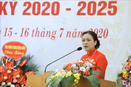 L’organisation du Parti de l’Union des organisations d’amitié du Vietnam tient son IXe congrès