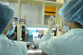 Le Vietnam propose à la BM de soutenir la production de vaccins contre le COVID-19 sur son sol