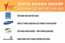 Profit 500 : PetroVietnam truste le podium