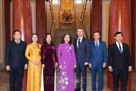 La vice-présidente Vo Thi Anh Xuan se rend au Danemark