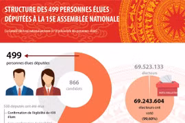 Structure des 499 personnes élues députées à la 15e Assemblée nationale
