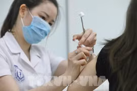  3e phase d'essai du vaccin Nano Covax contre le Covid-19 
