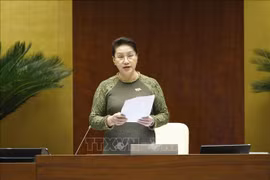 La présidente de l’Assemblée nationale apprécie les résultats des interpellations