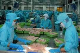 Exportations des produits agricoles principaux en baisse de 5,6% en 4 mois