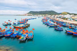 Lutte contre la pêche INN : Tien Giang vise un développement durable de la pêche