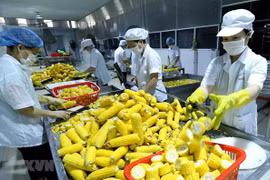 Produits agricoles : des perspectives prometteuses grâce au RCEP 
