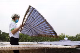 Bac Giang allouera plus de 14 millions de dollars pour la promotion industrielle d’ici 2025