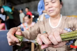 L’extraordinaire soie de lotus vietnamienne