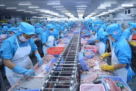 Les exportations de pangasius vers les Émirats arabes unis en forte hausse