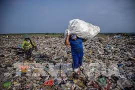 Le secteur de l’aquaculture dit non aux déchets plastiques océaniques