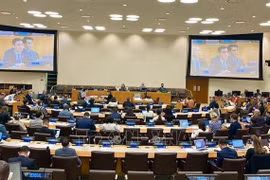 Le Vietnam affirme la liberté de navigation et de survol en Mer Orientale 