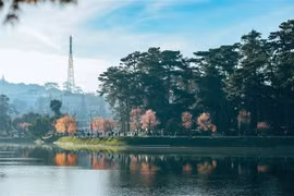 Dà Lat et Hôi An rejoignent le Réseau des Villes créatives de l’UNESCO 