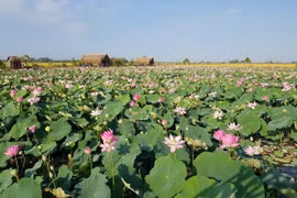 200 plats à base de lotus remportent un record du monde