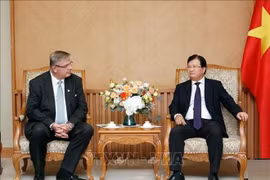Le Vietnam encourage le développement des énergies renouvelables