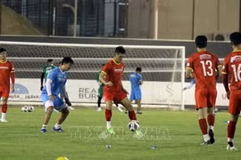 Mondial 2022 : l'équipe vietnamienne s'est bien préparée pour son match contre l'Arabie saoudite