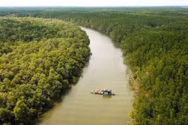Approbation d’un projet sur la protection et le développement des forêts dans les zones côtières