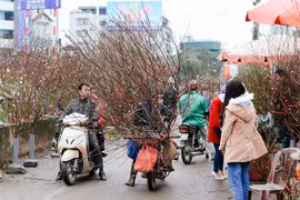 Le marché aux fleurs de Quang Ba