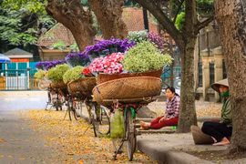 Les fleurs et leur histoire