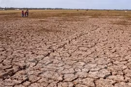 L’agriculture vietnamienne et les changements climatiques