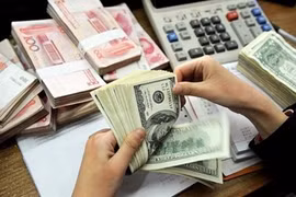 D’importantes pressions sur le taux de change