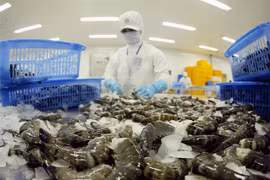 1er trimestre : le Vietnam exporte ses crevettes sur 68 marchés