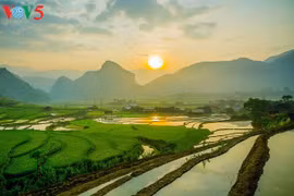 Mu Cang Chai à la saison du repiquage du riz