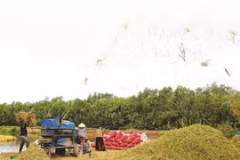 La restructuration aspire à une agriculture verte
