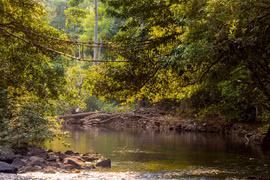 Protection des forêts : L’UE octroie au Cambodge 3,3 millions de dollars