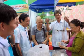 Quang Nam : premier marché du ginseng de Ngoc Linh 
