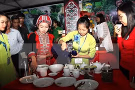 Festival du thé bio à Hà Giang