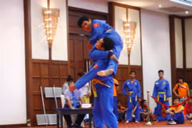 Le Vietnam est champion d’Asie du Sud-Est de vovinam 2017